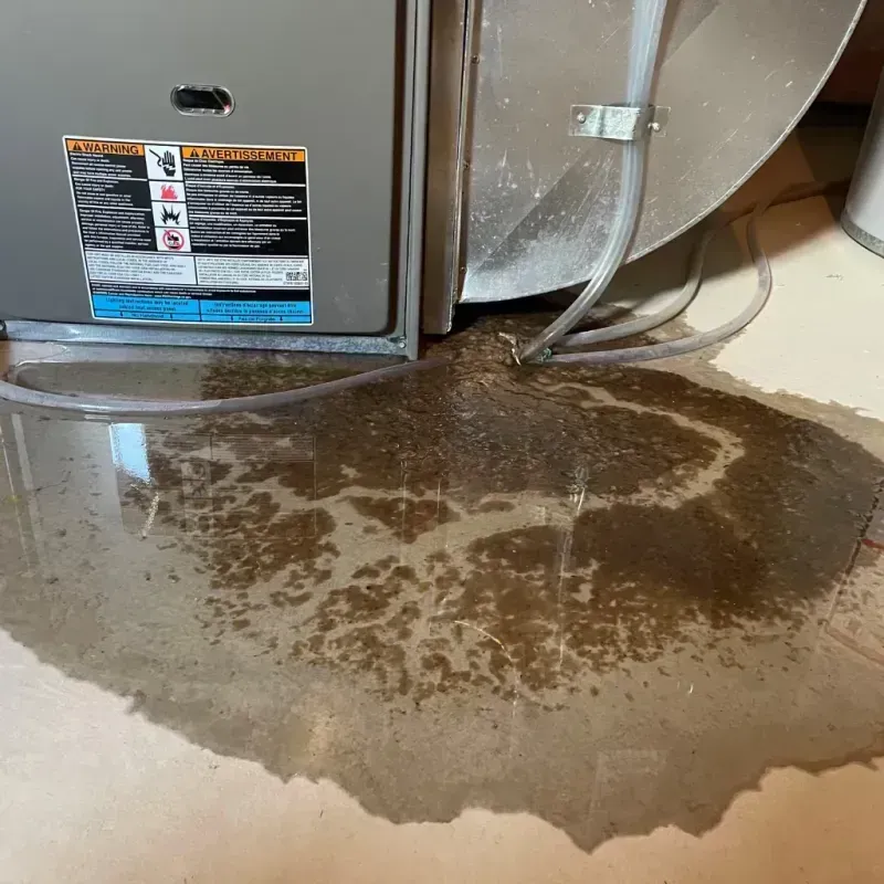 Appliance Leak Cleanup in Manlius, NY